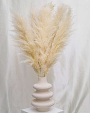 Load image into Gallery viewer, Tuscan Desert Pampas Grass