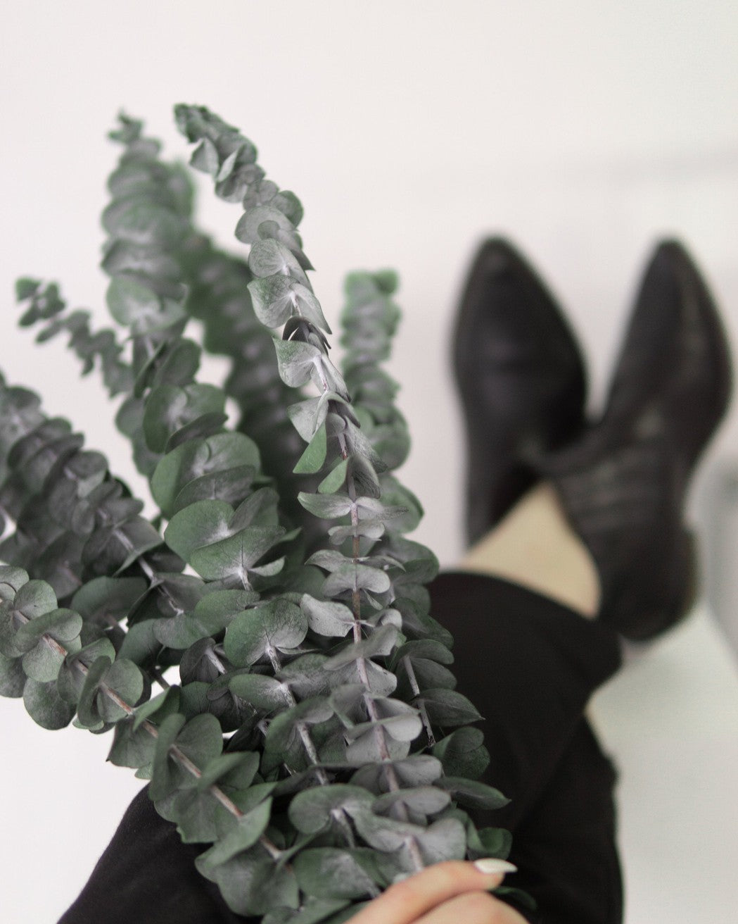 Green Eucalyptus - Pampas Gal