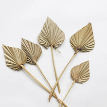 Load image into Gallery viewer, Anahaw Spear Palm Leaves
