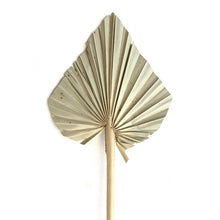 Load image into Gallery viewer, Anahaw Spear Palm Leaves