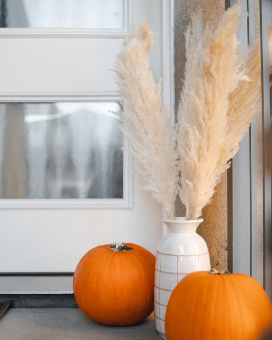 How to Use Pampas Grass for the Fall Season