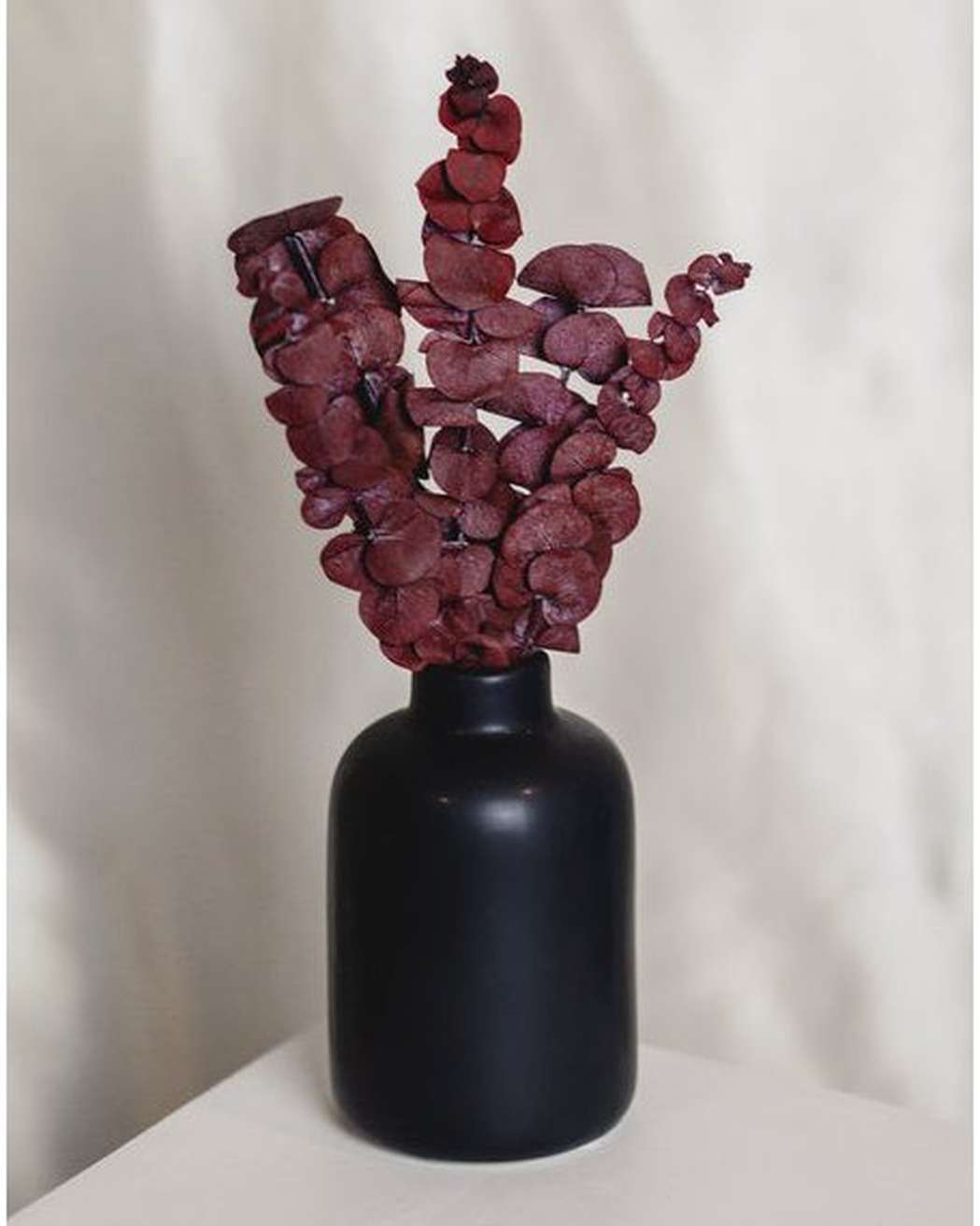 Eucalyptus Grams - Pampas Gal