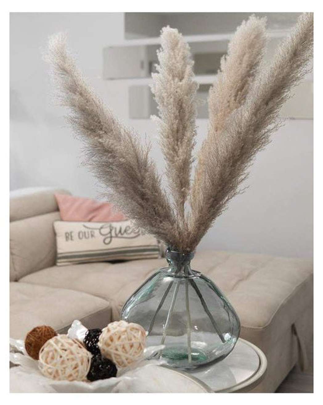 Cool Grey - Pampas Gal