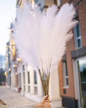Load image into Gallery viewer, White Faux Pampas Grass