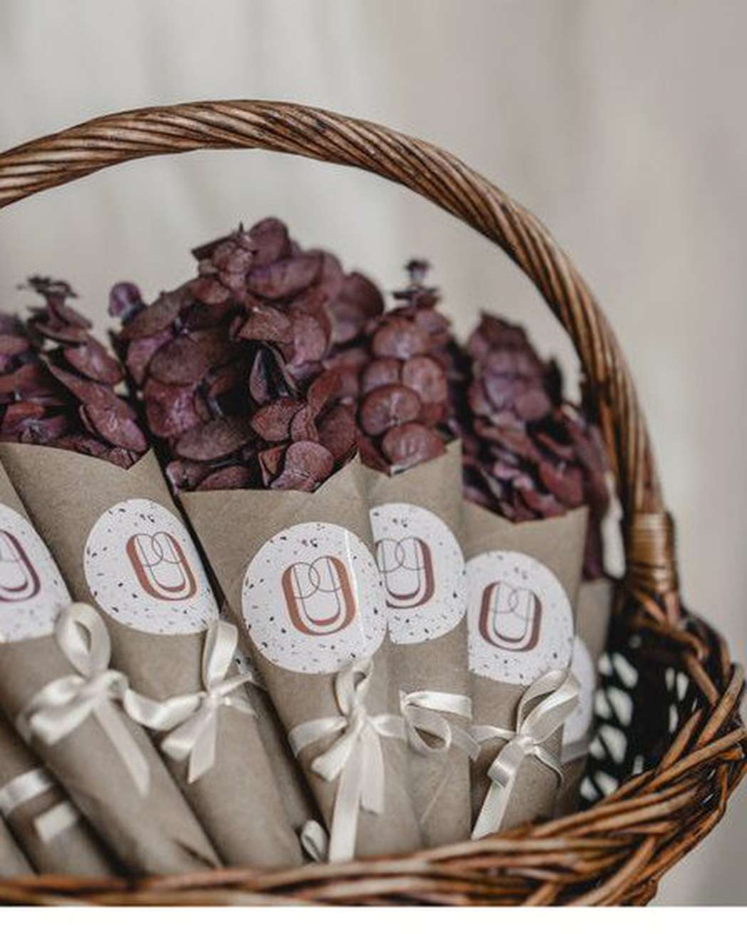 Eucalyptus Grams - Pampas Gal