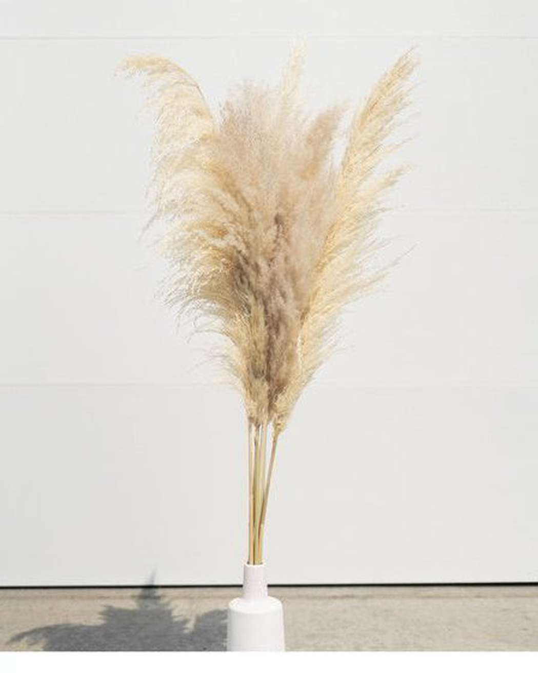 Beige-Tone Pack Pampas Grass