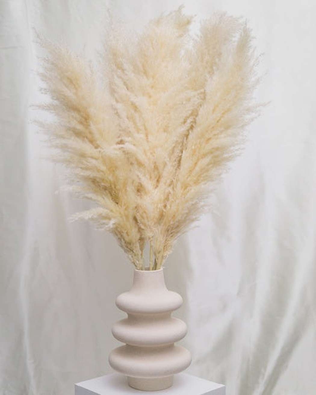 Tuscan Desert Cream Beige Extra Fluffy Pampas Grass