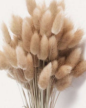 Charger l&#39;image dans la galerie, Natural Brown Bunny Tails