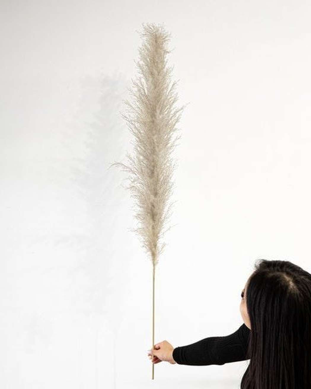 Cool Grey - Pampas Gal
