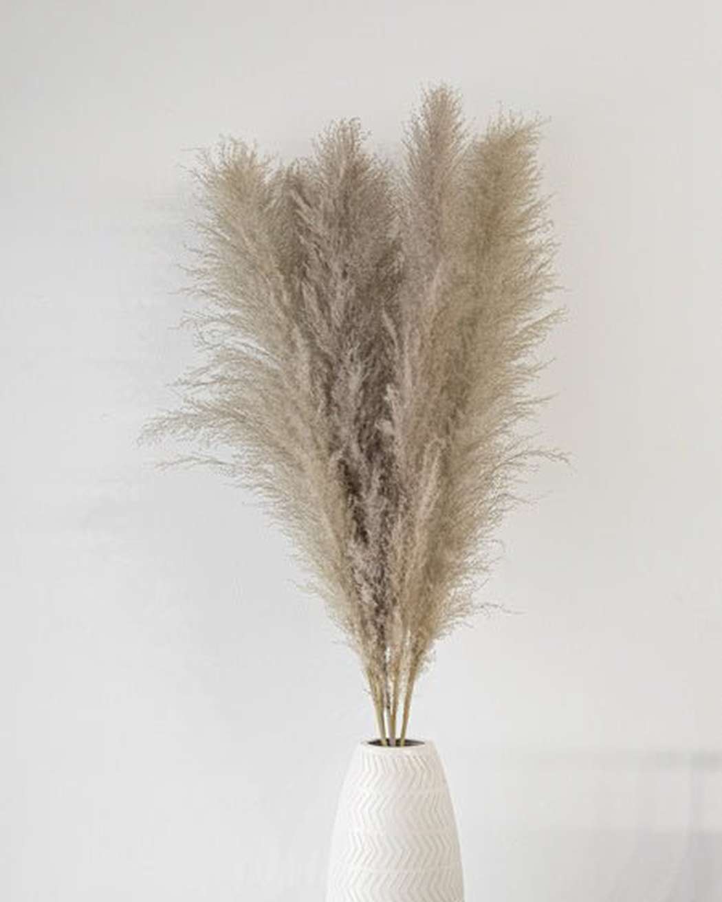 Cool Grey - Pampas Gal