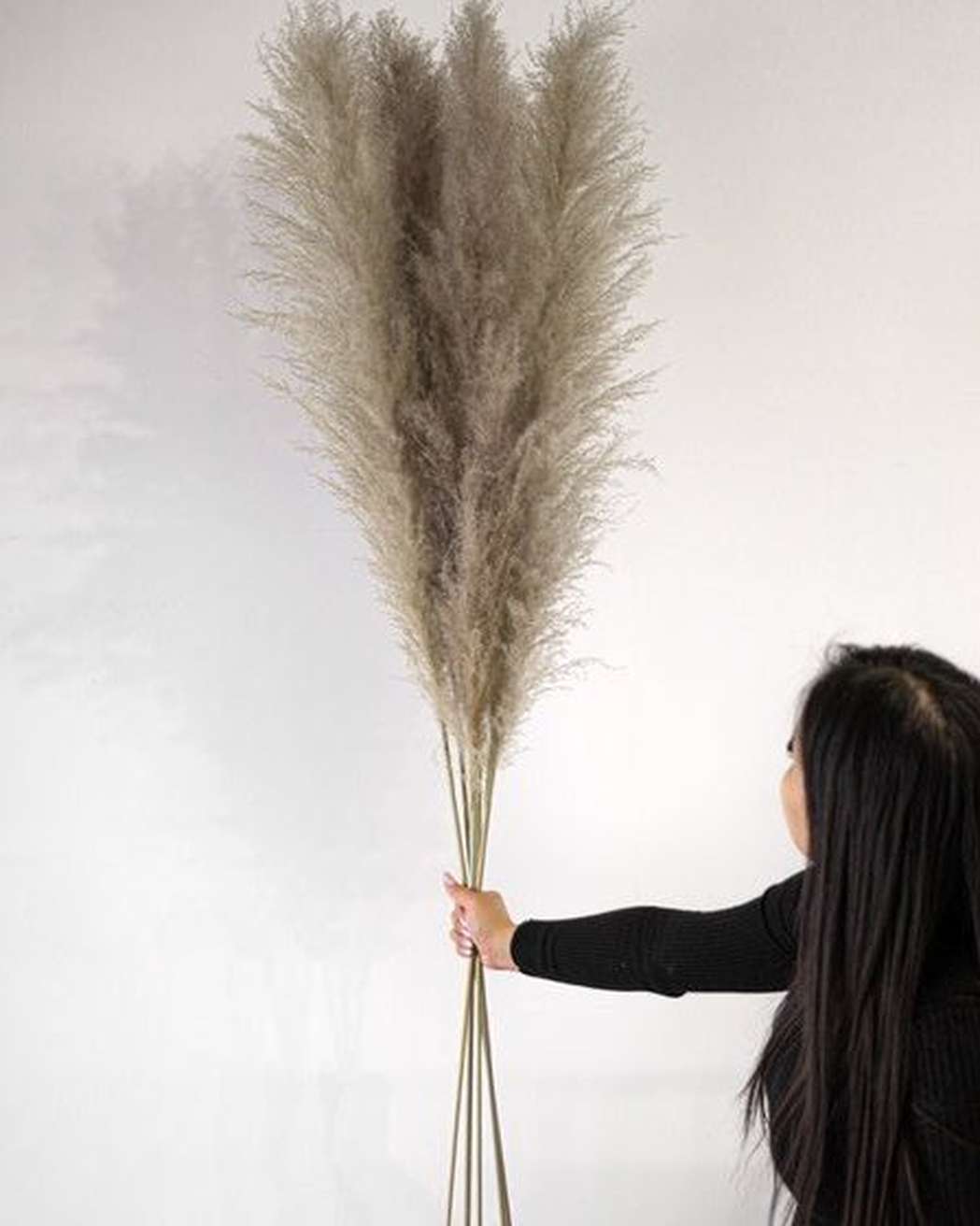 Cool Grey - Pampas Gal