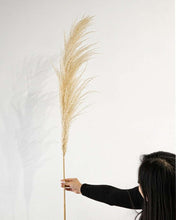 Load image into Gallery viewer, Vintage French Champagne - Pampas Gal