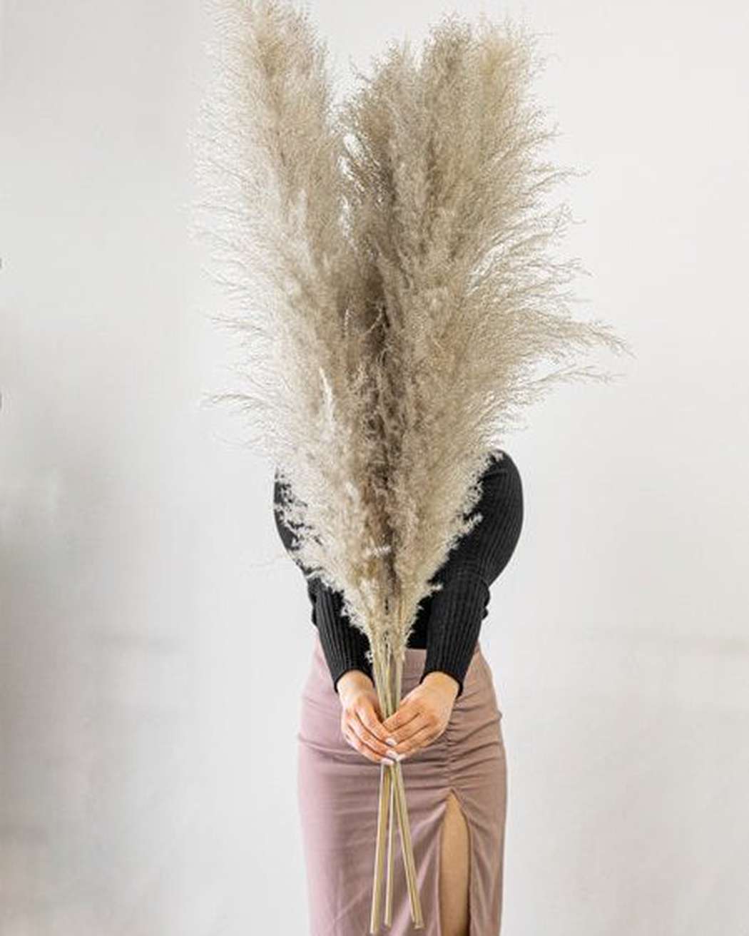 Cool Grey - Pampas Gal