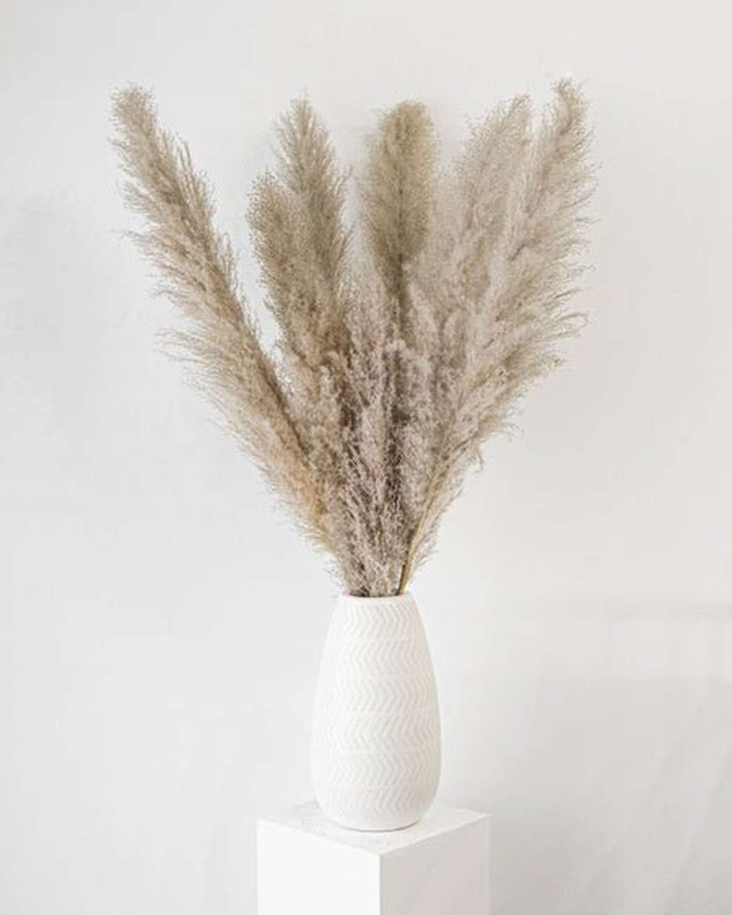 Cool Grey - Pampas Gal