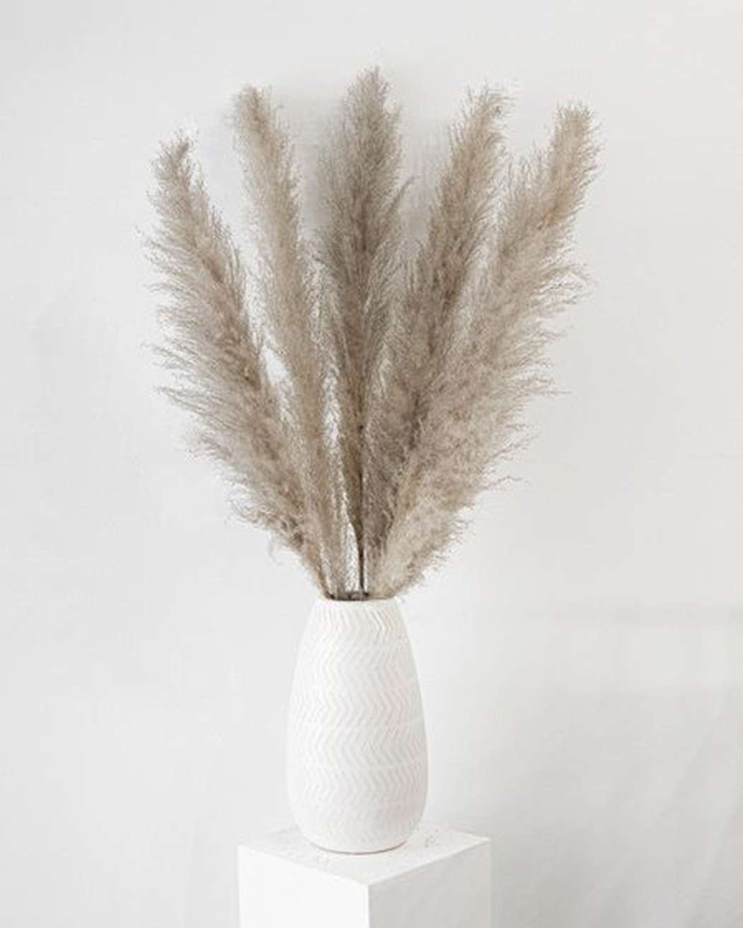 Cool Grey - Pampas Gal