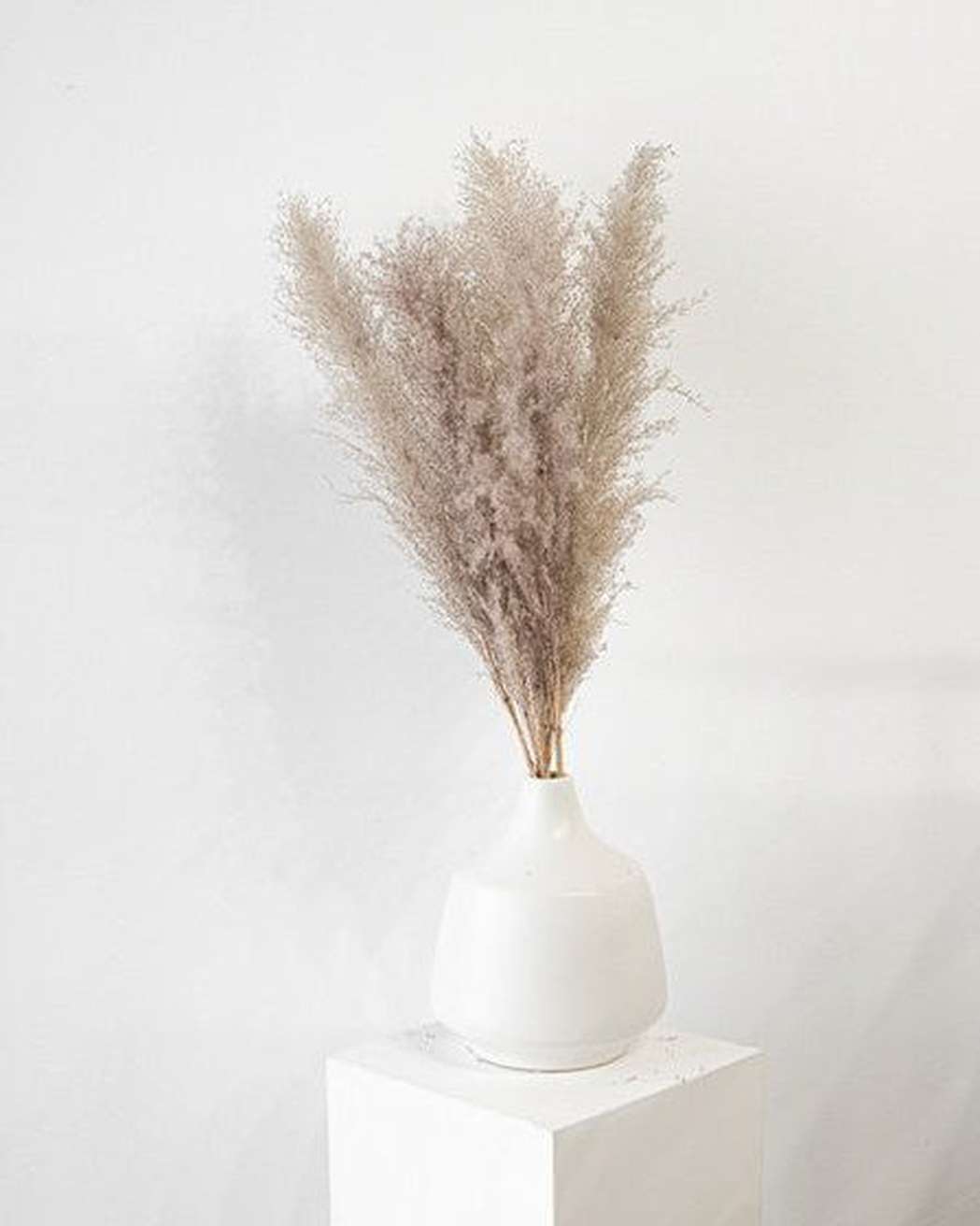 Cool Grey - Pampas Gal