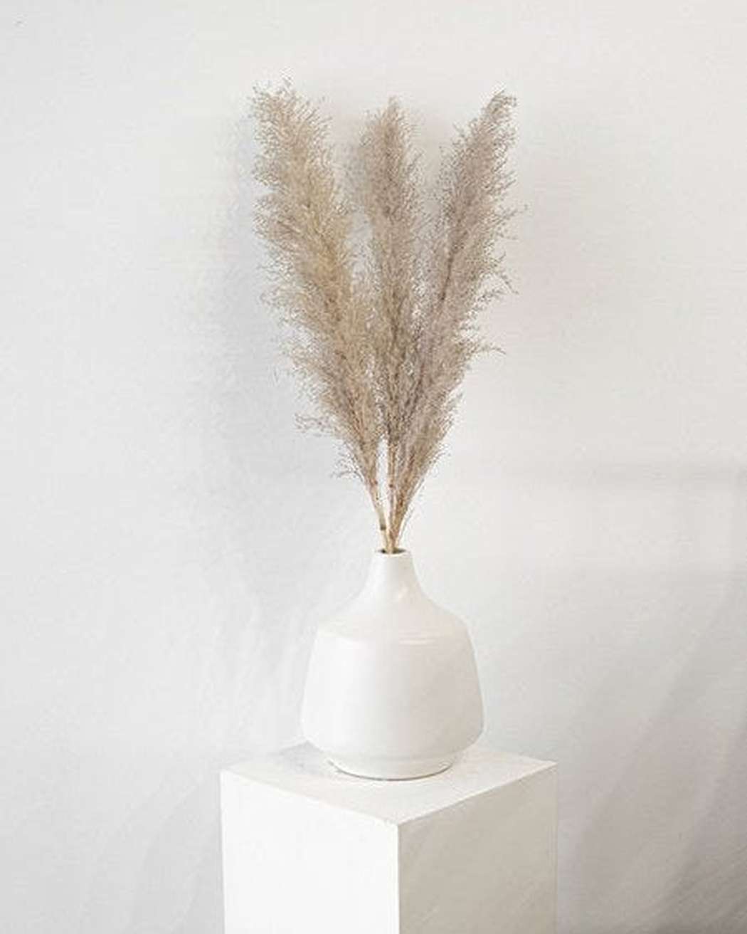 Cool Grey - Pampas Gal