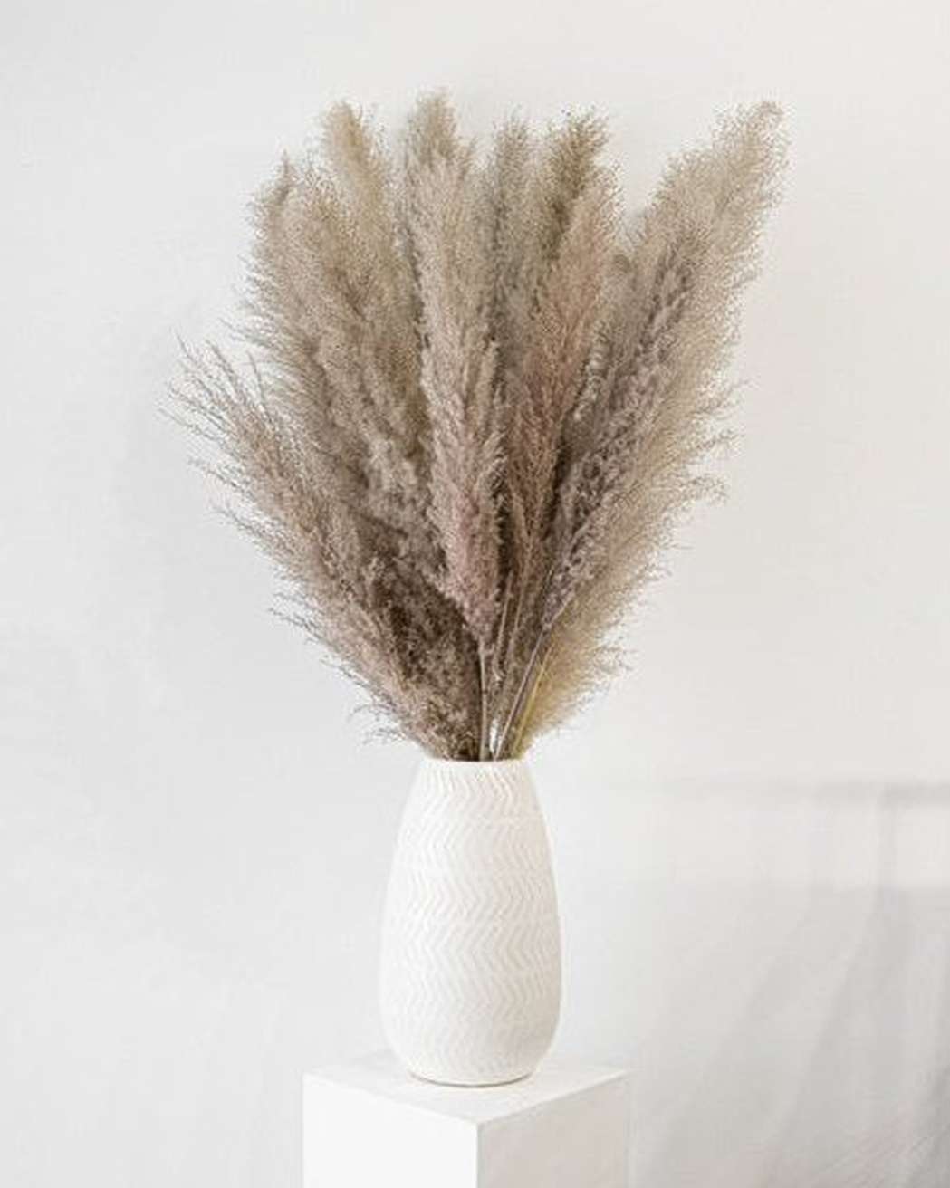 Cool Grey - Pampas Gal