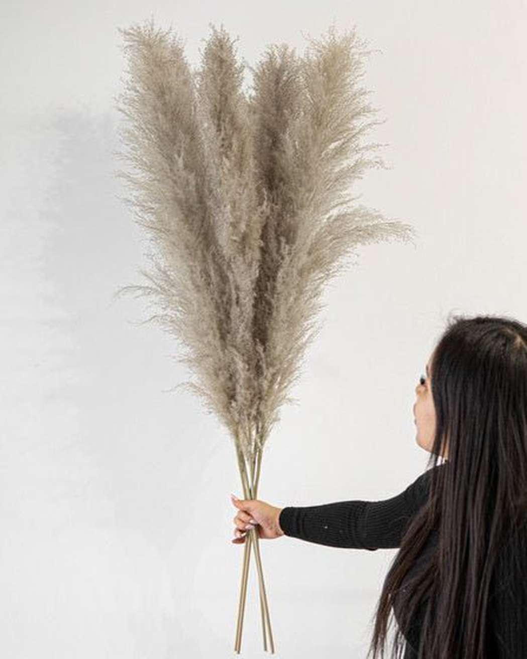 Cool Grey - Pampas Gal