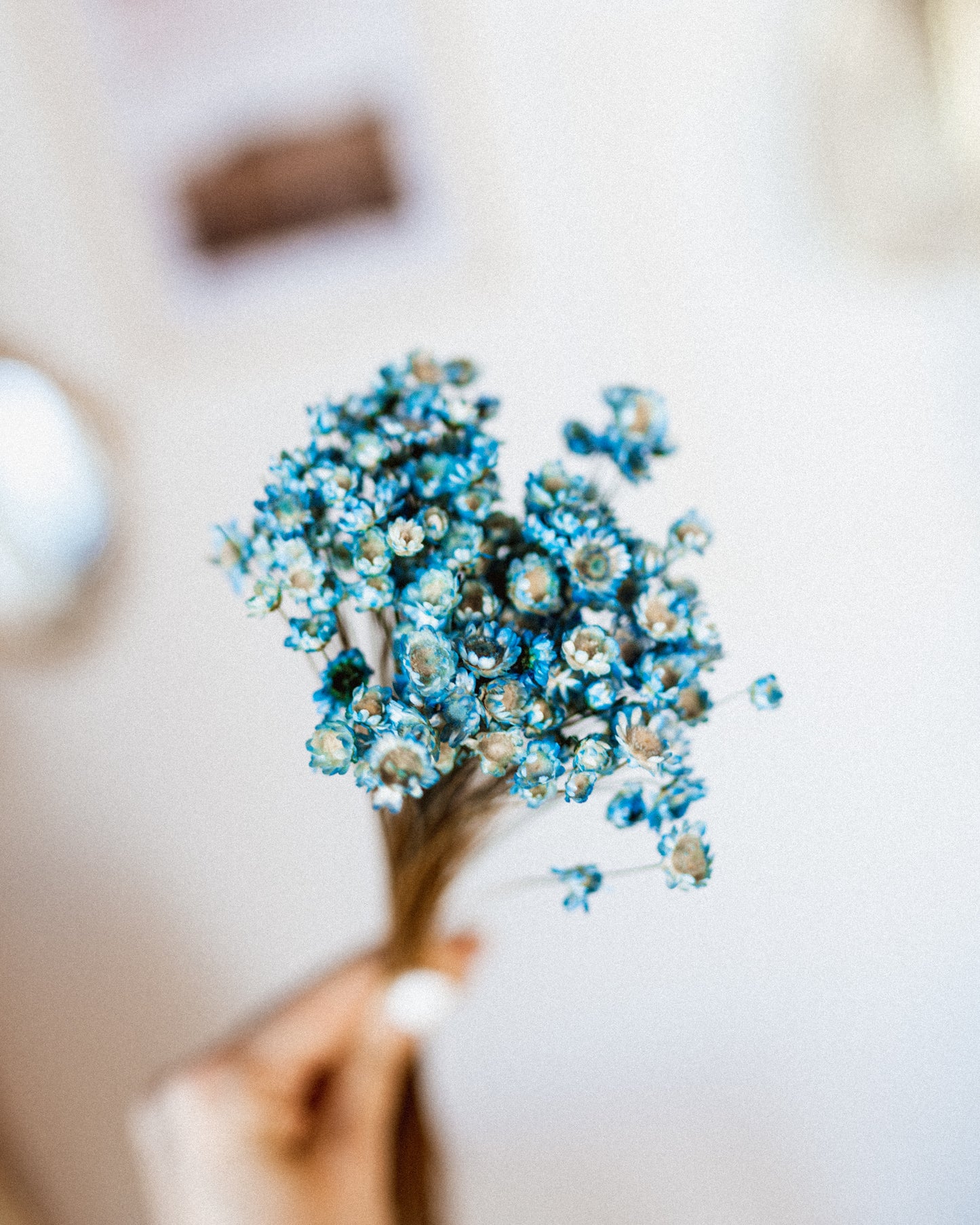 Star Flower