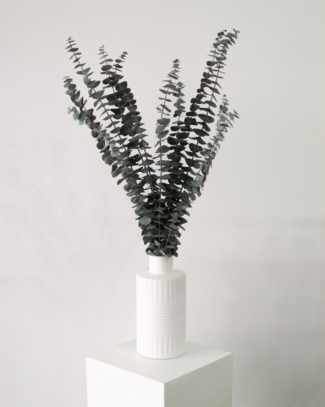 Green Eucalyptus