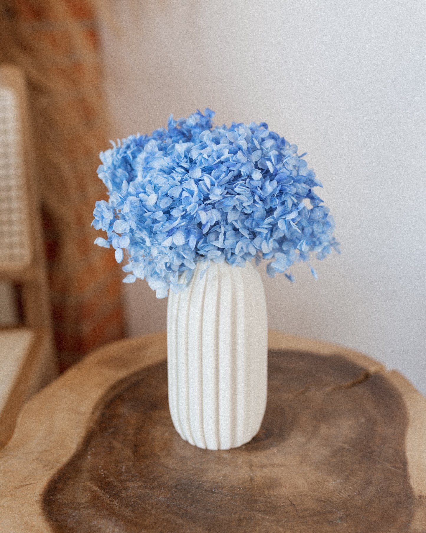 Preserved Hydrangea