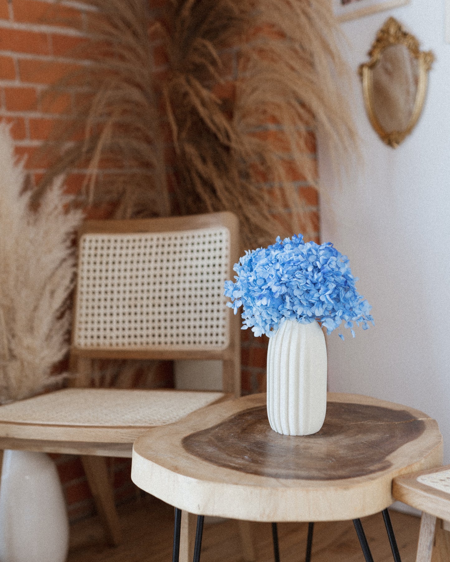 Preserved Hydrangea