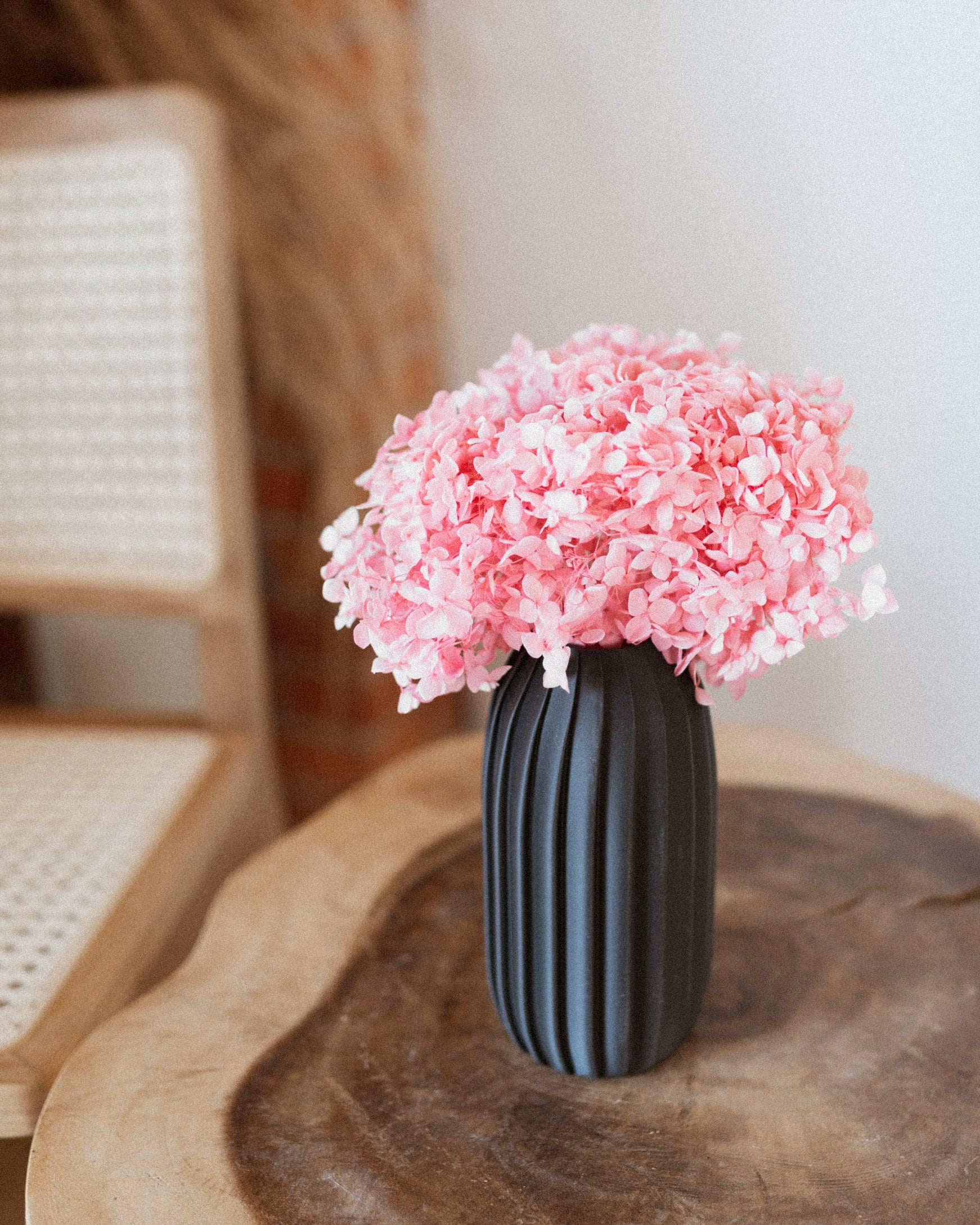 Preserved Hydrangea
