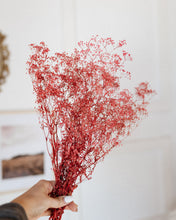 Load image into Gallery viewer, Red Baby&#39;s Breath (Gypsophila)