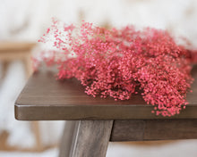 Load image into Gallery viewer, Red Baby&#39;s Breath (Gypsophila)