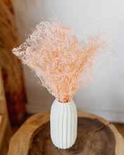 Load image into Gallery viewer, Pink Baby&#39;s Breath (Gypsophila)