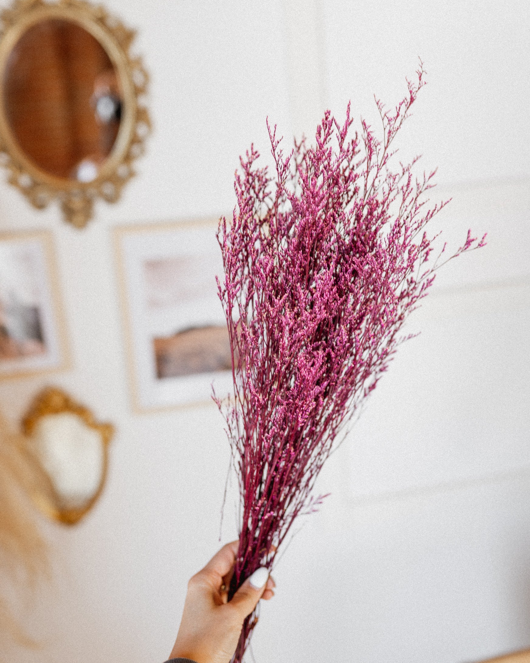 Limonium