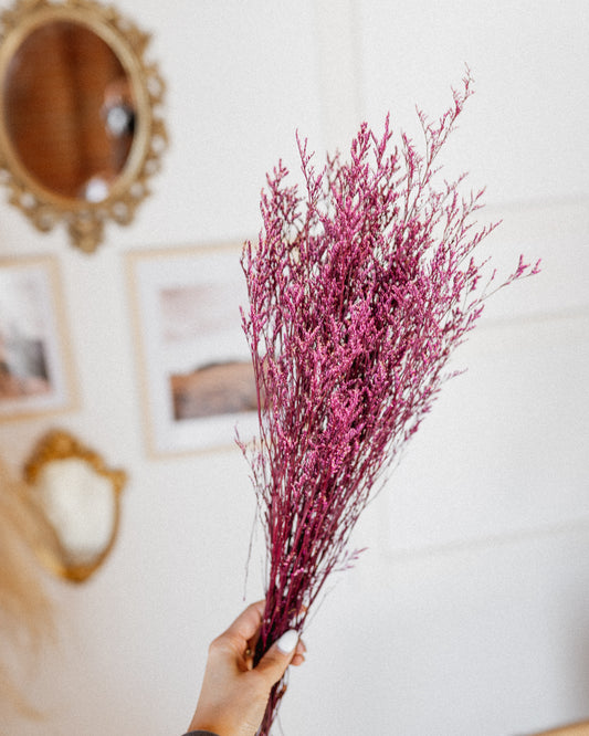 Limonium