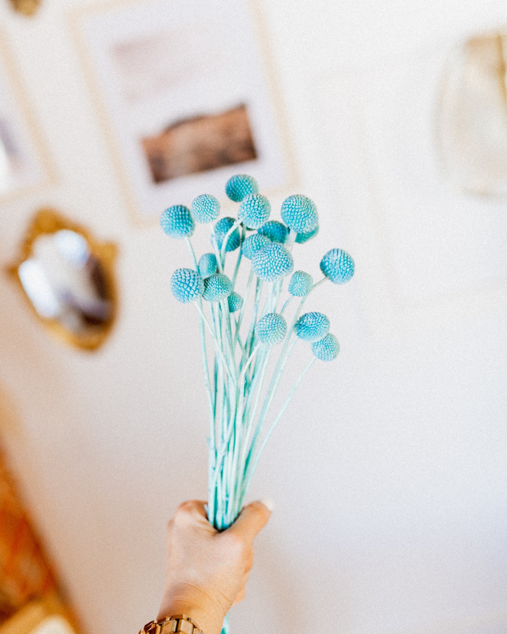 Billy Buttons