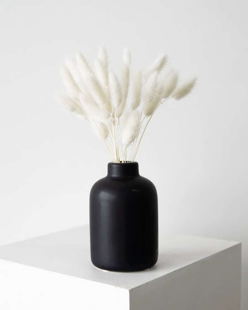 White Bunny Tails