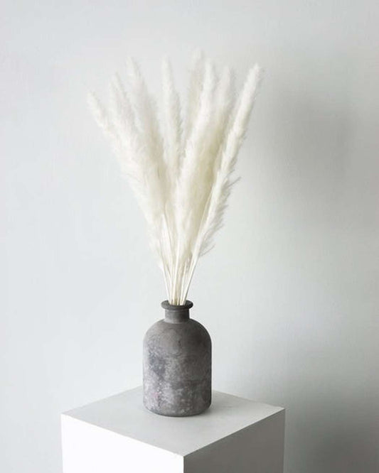White Small Pampas