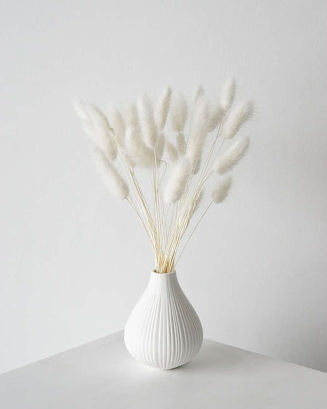 White Bunny Tails