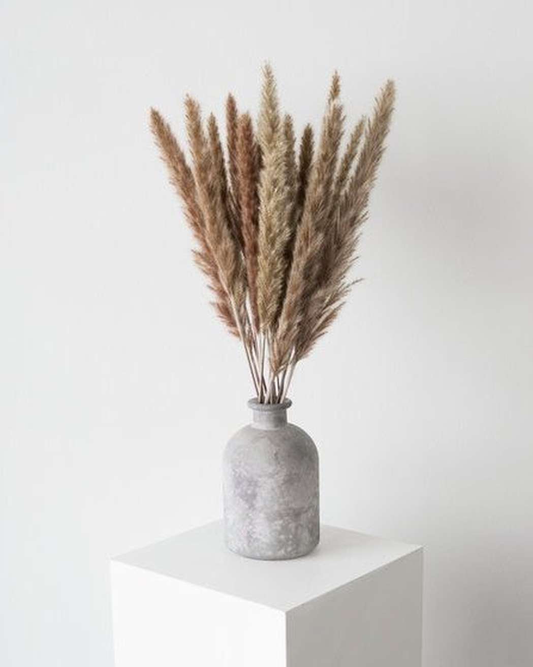 Brown Small Pampas