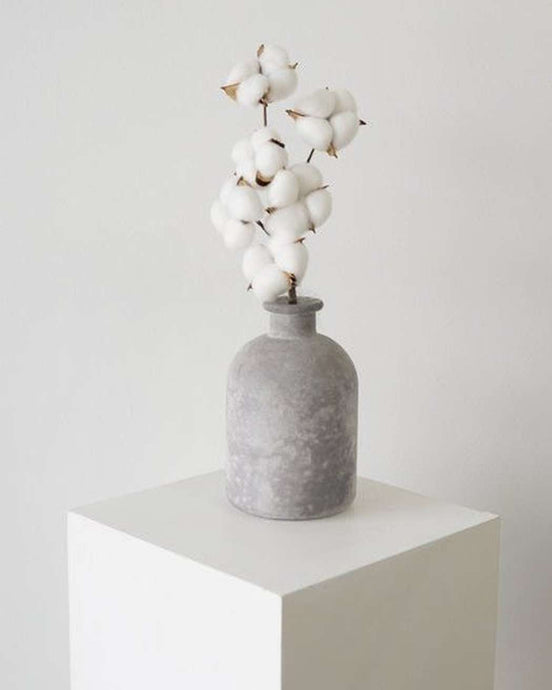 Cotton Balls - Pampas Gal