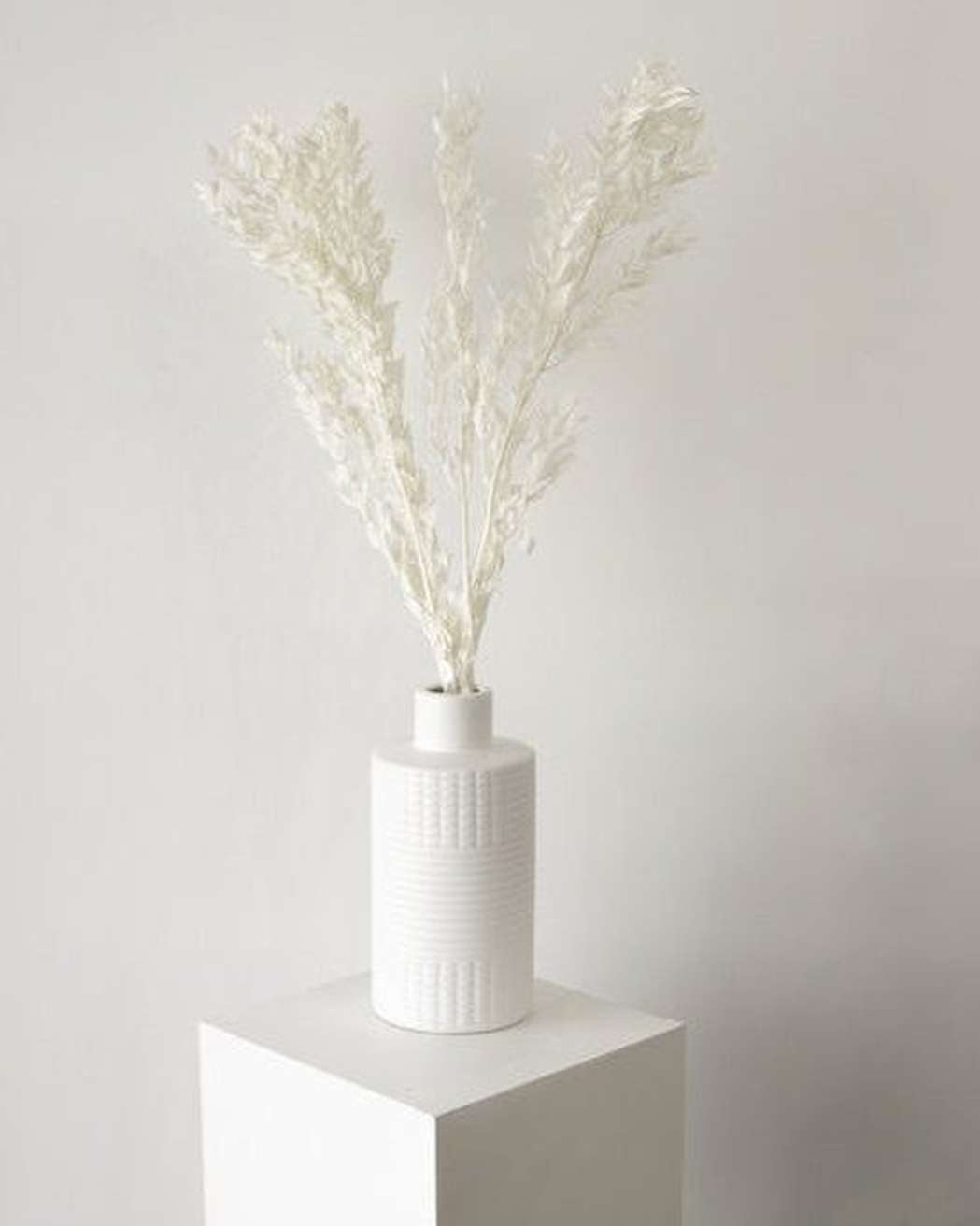 Italian Ruscus Leaves - Pampas Gal