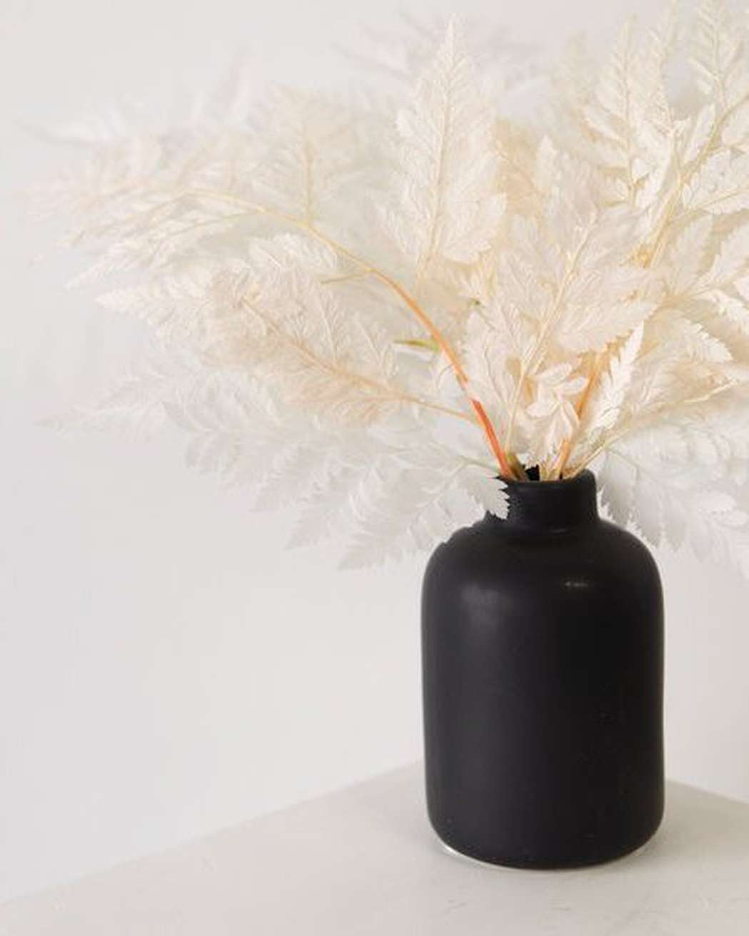 Black Bud Vase - Pampas Gal