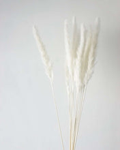 Load image into Gallery viewer, White Small Pampas