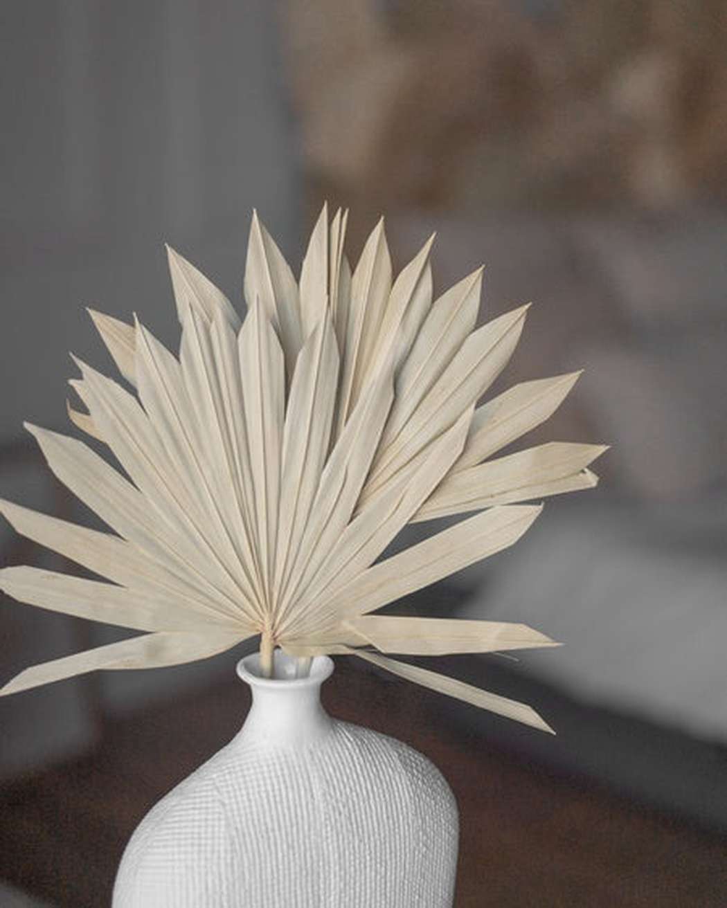Sun Palm Leaves (2 Pack)