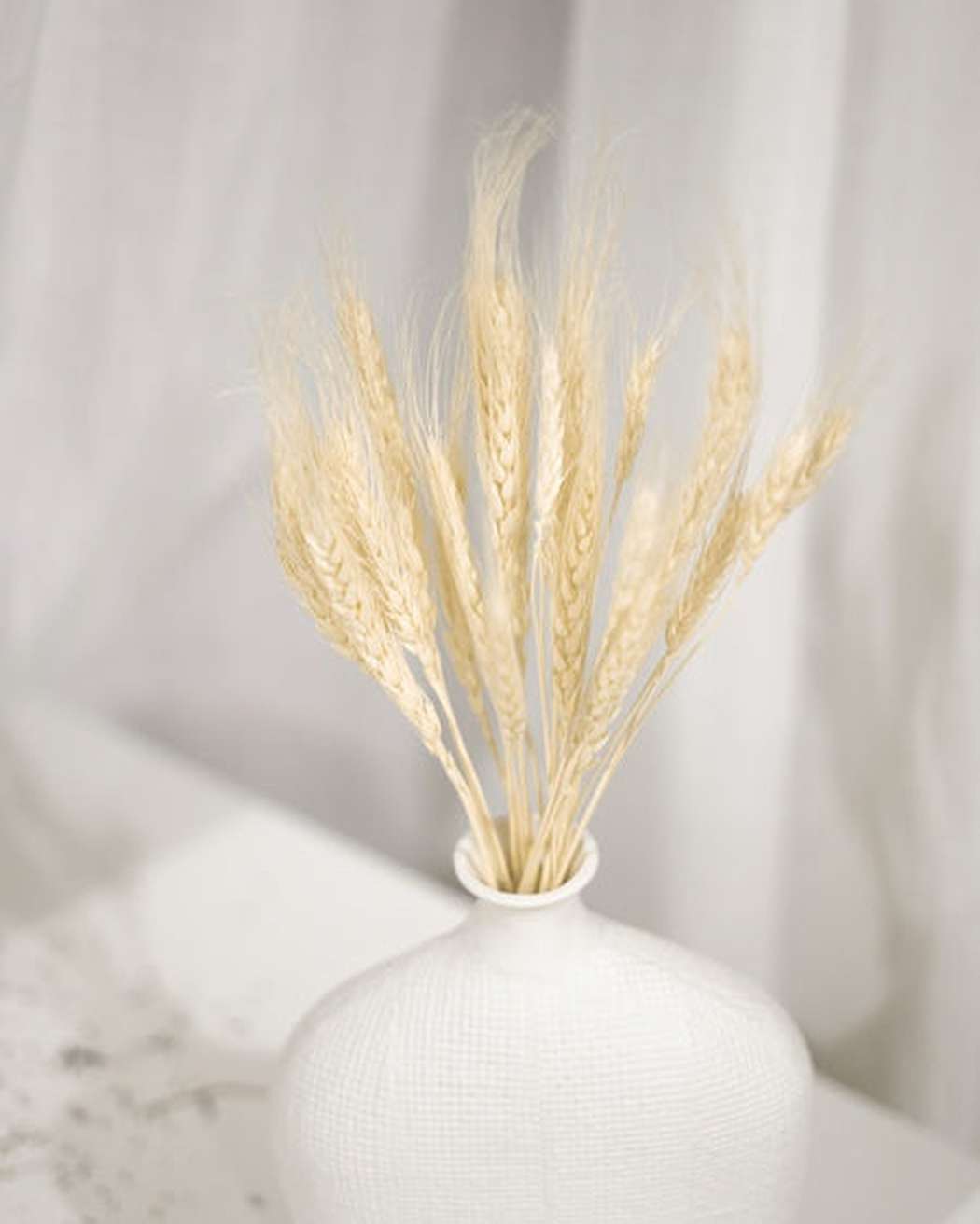 Wheat Tails