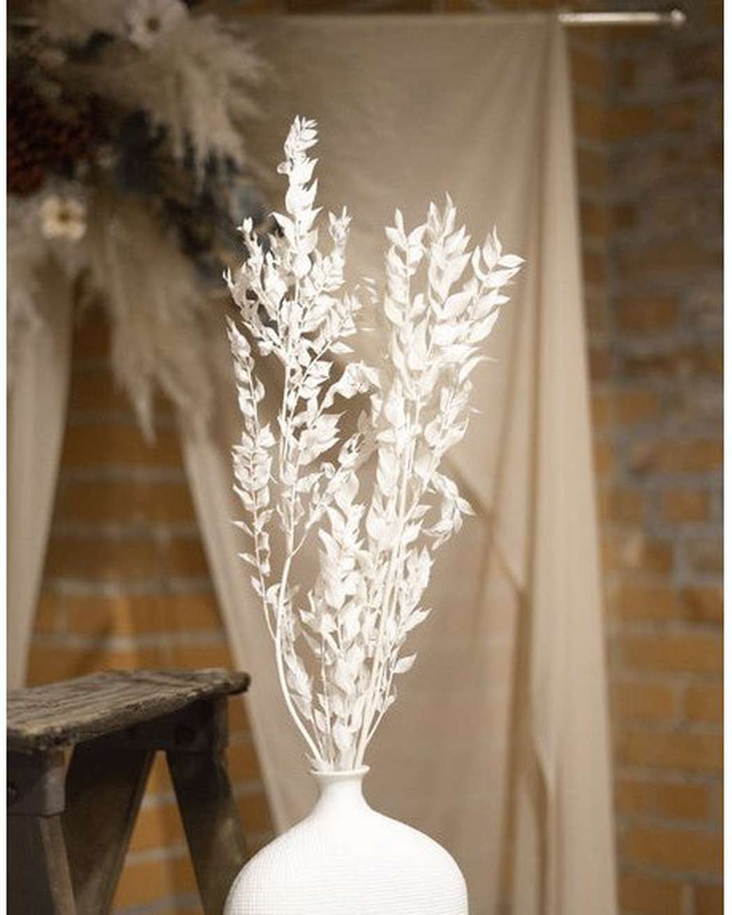 Italian Ruscus Leaves