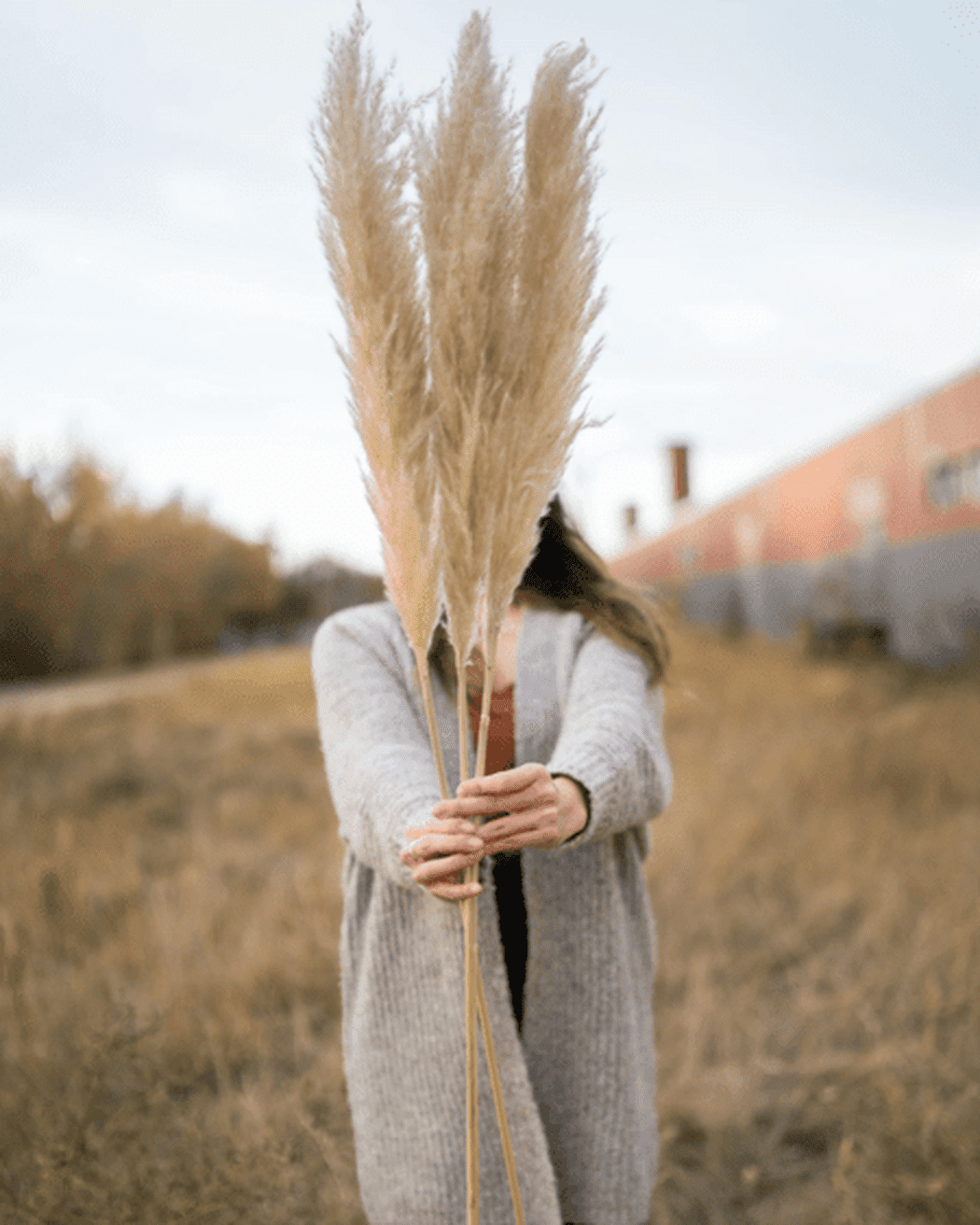 Tuscan Desert Cream Beige Extra Fluffy Pampas Grass