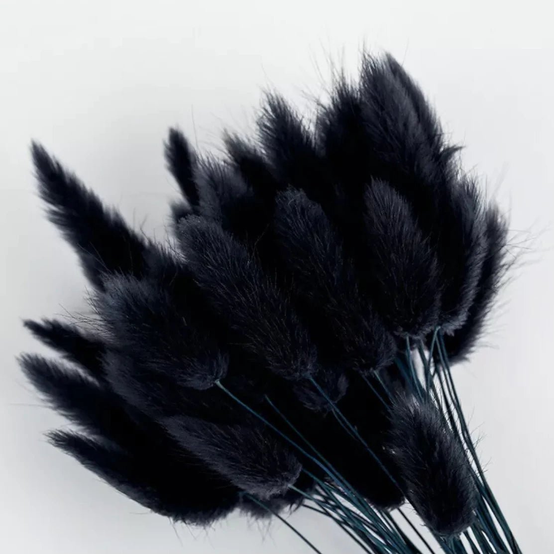 Black Bunny Tails